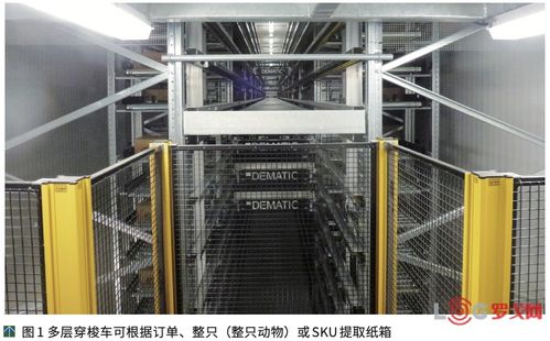 澳大利亞NCMC肉類加工廠提高競爭力的秘訣 自動化物流系統(tǒng)與計算機(jī)系統(tǒng)集成服務(wù)